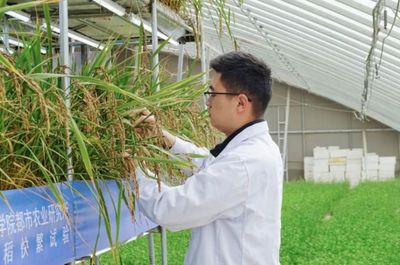 國際首次試驗(yàn)成功，核心技術(shù)源自天府新區(qū)科技推廣與應(yīng)用服務(wù)